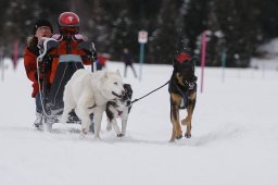 Lenzerheide 2013